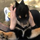 달림농장 이미지