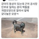 강아지 동상이 있는데 근처 공사장 인부로 일하는 분이 이미지