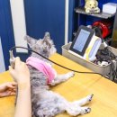 이건동물병원 이미지