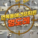 멍도레 네이버블로그