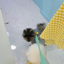 뭉뭉상점 이미지