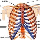 갈비도둑 이미지