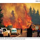 백송푸드 이미지