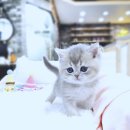 논산옆골 네이버블로그