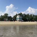 율포해수욕장 | [일상] 전남 보성 율포 솔밭 해수욕장 아구찜 맛집 명석찜 방문 후기 [826]