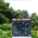 도그엔조이 이미지