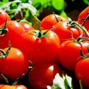 힐링단란주점 이미지