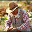 농업회사 토지인 이미지