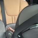 서울석병원 | 서울석병원 역아 고관절 탈구 검사, 딤플 초음파 검사 후기 및 비용(태아보험 청구)