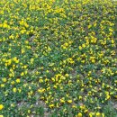 해주꽃화원 이미지