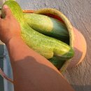 인중무태극권인선당 이미지