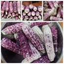 보성마트 이미지