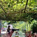 장산농장 이미지