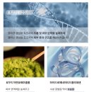 오바코 멀티 리커버리 세트 후기｜20대 주름관리 시작, 탄력 화장품 솔직 리뷰