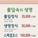 풀잎속의생명 이미지