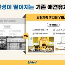 애견호텔 개인 이미지