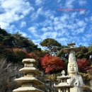 관촉사 | 관촉사/논산 반야산 관촉사/논산 명소/충청남도 논산 사찰/교통/입장료