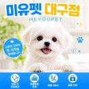 의성동물병원 | 의성애견분양 제대로 알아본 사람들만 결국 선택하는 기준