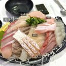 수록상회 | 노량진 수산시장 방어 맛집｜군산상회 대방어 모둠회 솔직 후기