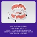 송도하버치과의원 이미지