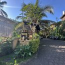 코티지 | 발리 우붓 가성비 숙소 추천 자티 코티지 솔직 후기