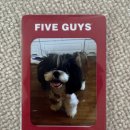 광교중앙로 이미지