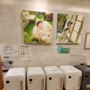 디어맘산후조리원 이미지