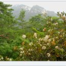 충북제천 북바위산 산행(2013.7.7) 이미지