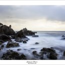 동해파도소리 이미지