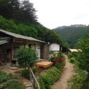 낙동정맥트레일 이미지