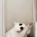 카페우주(woozoo) 이미지