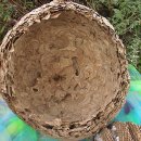 손오공농장 이미지