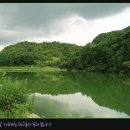 도곡소류지 네이버블로그