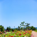 재매정길 이미지