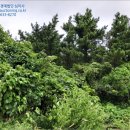 상도리경로당 이미지