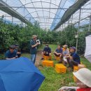 김종우 농장 이미지