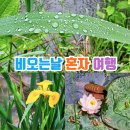 선인목장 | 경기도 비오는날 가볼만한곳 국내 혼자 여행 남양주 별내