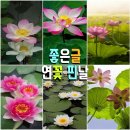 꽃핀날