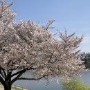 동촌유원지 서편주차장 이미지