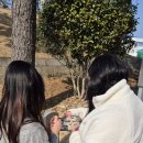 용화정밀 | 통영 가볼만한곳 삼도수군통제영 야외방탈출! 이색체험 놀거리 완벽 정복 후기 _ 야외추리게임