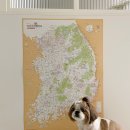 놀고가개 이미지