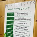 루비팜