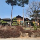 산울림식당 이미지