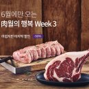 닭모아마켓 뉴시스