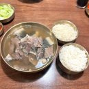 대구 수성구 맛집 ‘사대부암소곰탕’ | 대구은행역 안주가든 옆 숨은 국물맛집