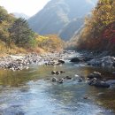 구만동 오토캠핑장 이미지