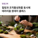 정원종합기업 | [교육 후기] 직원 만족도를 높이는 기업 웰니스 프로그램 추천 | 테라리움 원데이 클래스 후기