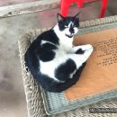 천일농장 이미지