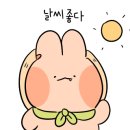 시리미자연놀이체험장 이미지