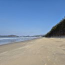 지도읍보건지소 네이버블로그